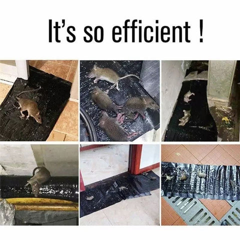 Bundle of 2 Rat Killing Magic Carpets Rodents Moles Trap Rat Mice Trap Clear Invisible Mouse Glue Trap Large